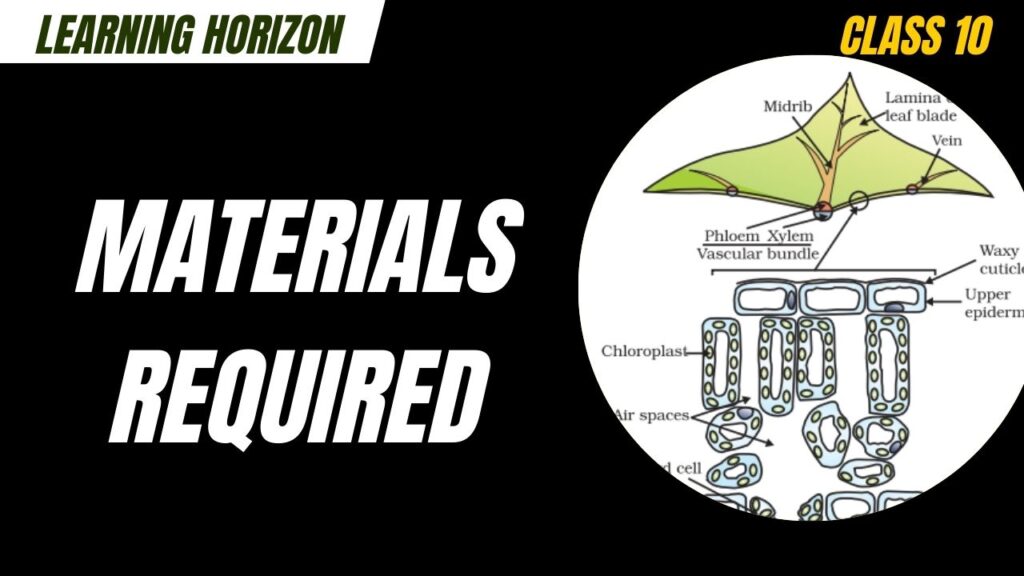 Materials Required