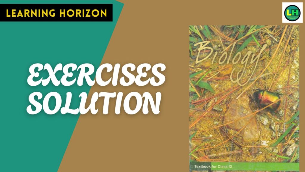 EXERCISES Solution