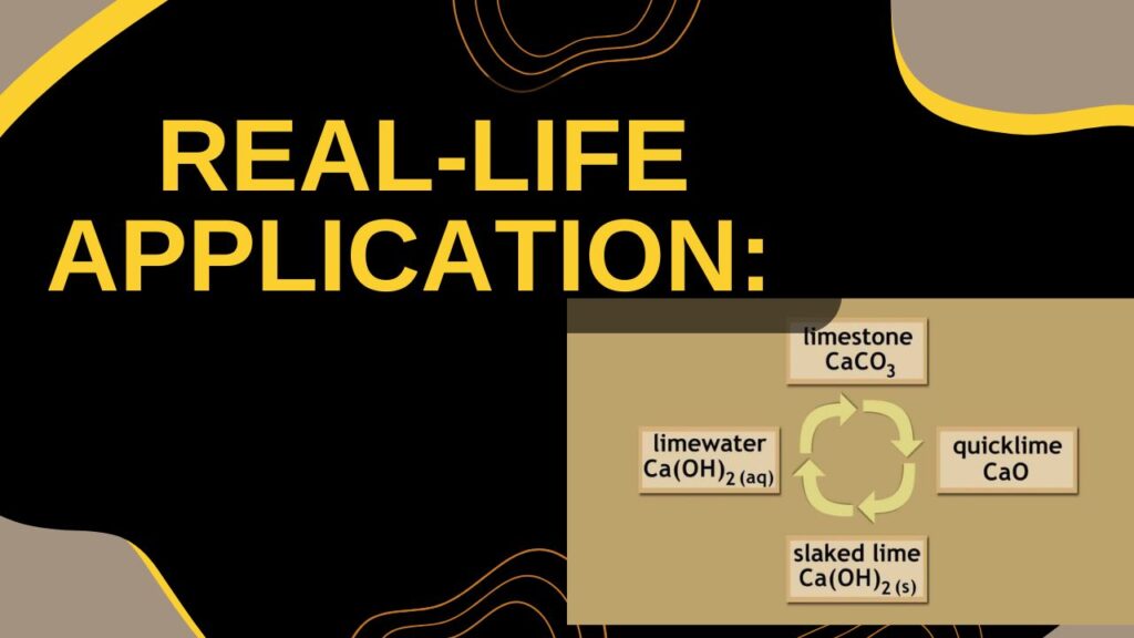Real-Life Application: