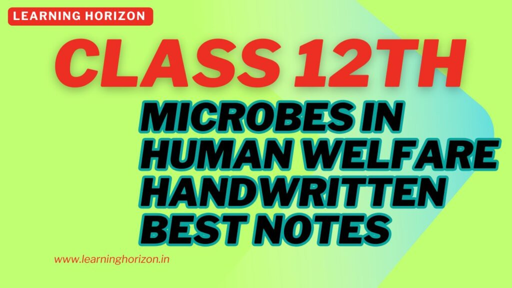Microbes in Human Welfare

