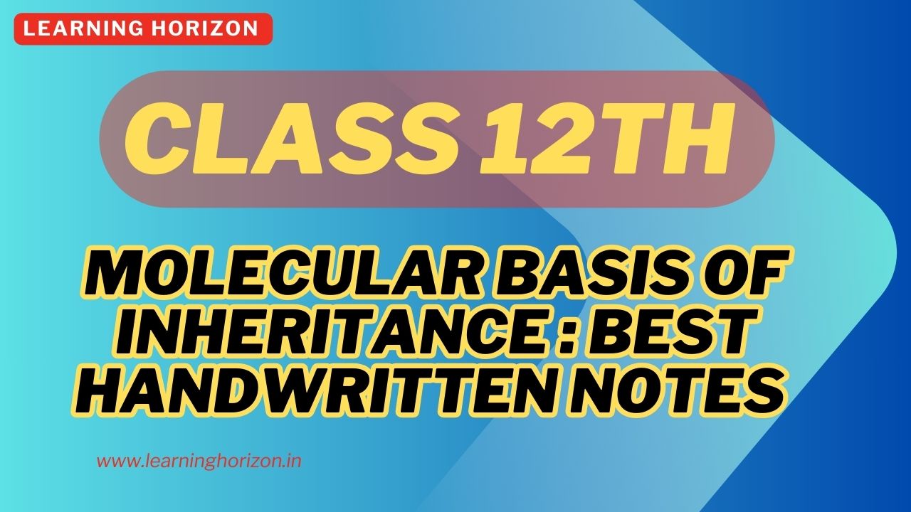 Molecular Basis of Inheritance