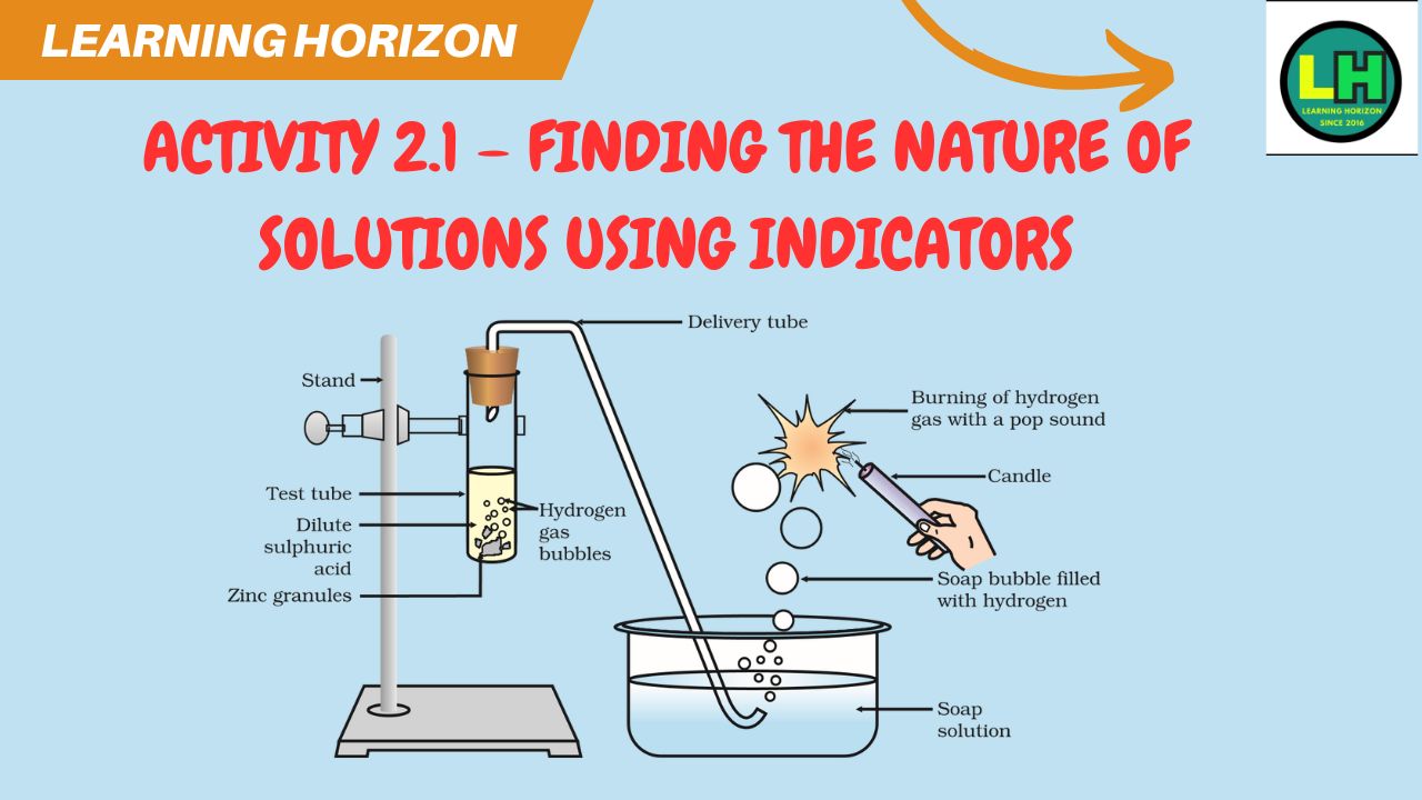 Activity 2.1 – Finding the nature of solutions using indicators
