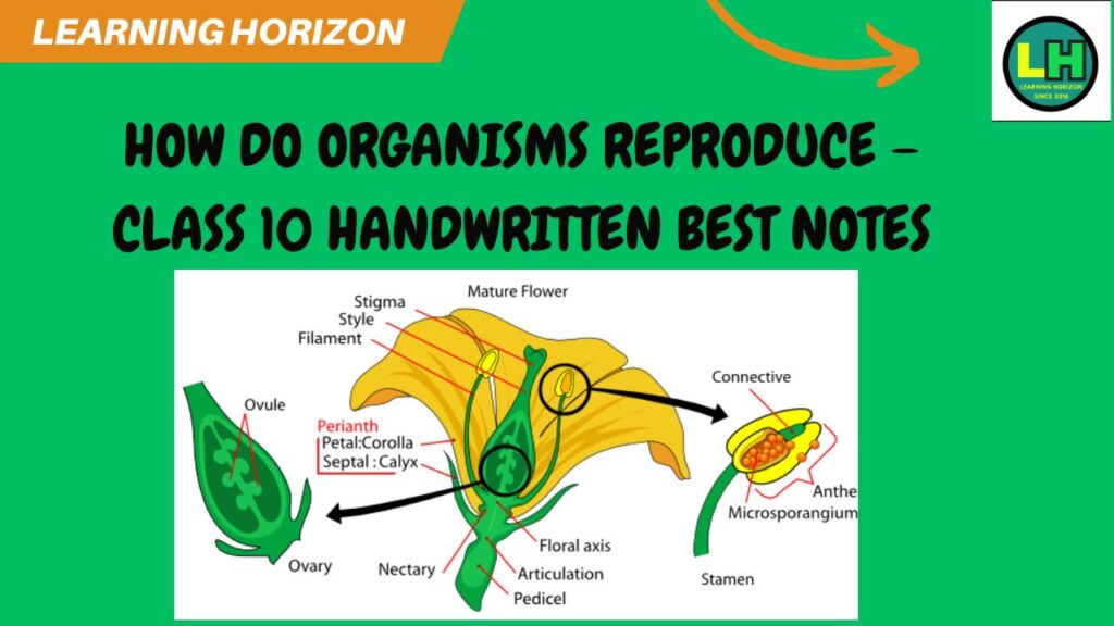 How Do Organisms Reproduce – Class 10 Handwritten best Notes