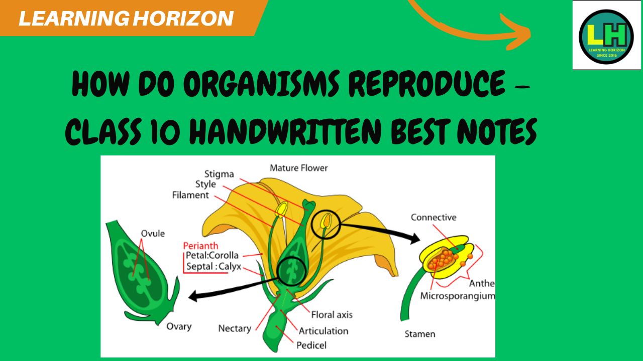How Do Organisms Reproduce – Class 10 Handwritten best Notes